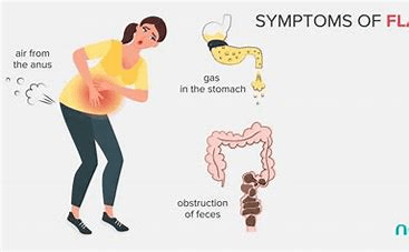 Flatulence (Adhmana / Anaha) - Image 2